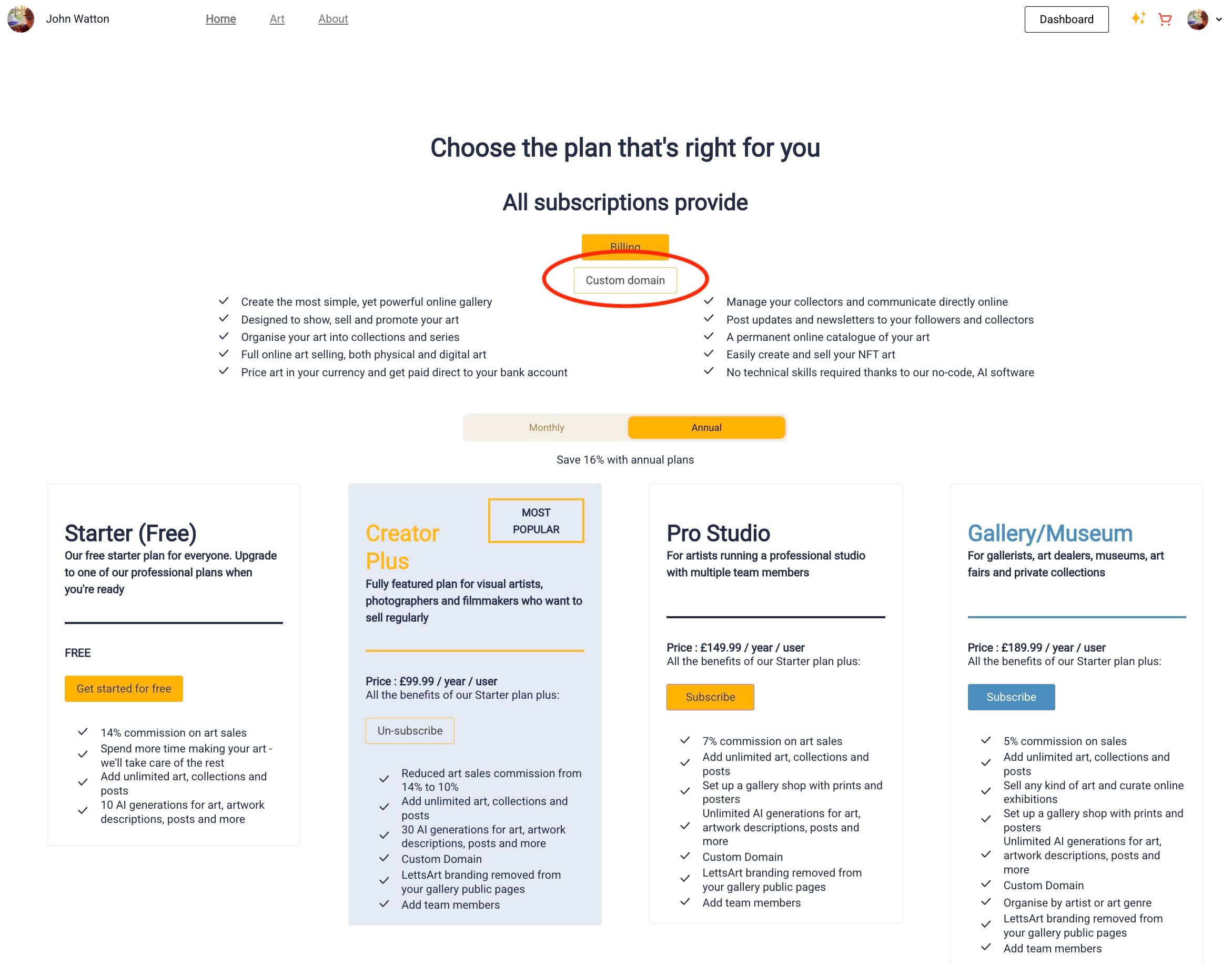 You can add your custom domain in the Subscription page