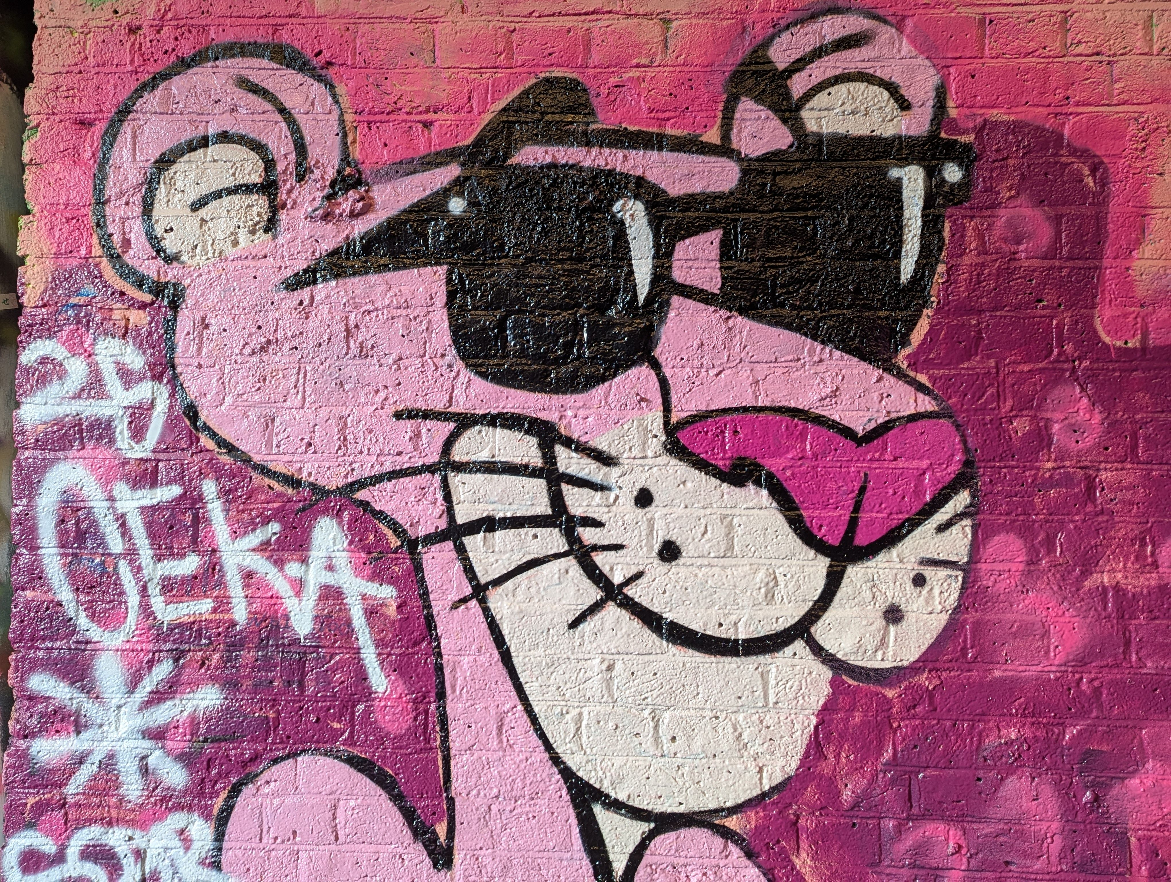 Pink Panther Graffiti Tunnel